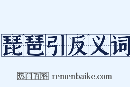 琵琶引反义词是什么意思的图片